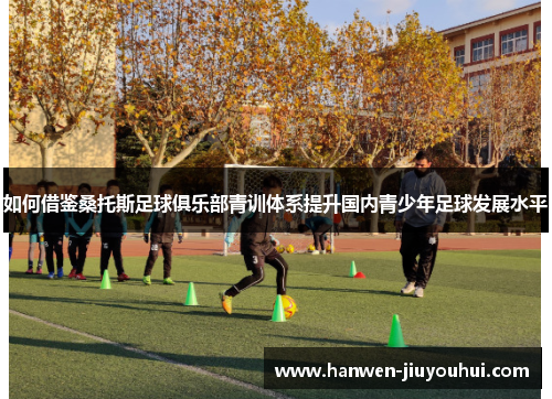 如何借鉴桑托斯足球俱乐部青训体系提升国内青少年足球发展水平