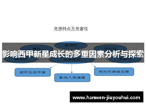 影响西甲新星成长的多重因素分析与探索 影响西甲新星成长的多重因素分析与探索