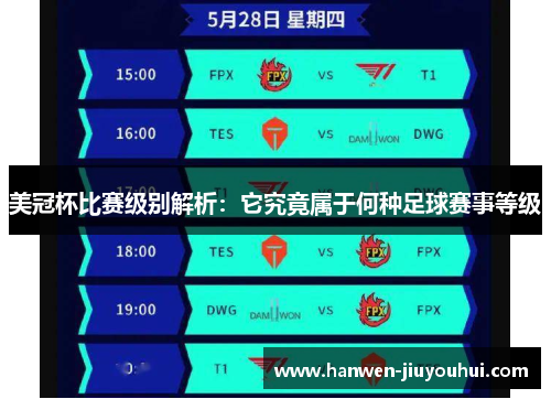 美冠杯比赛级别解析：它究竟属于何种足球赛事等级